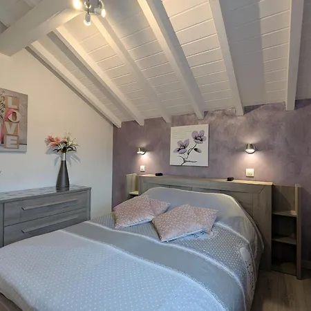 évasion Vosgienne: De Luxe, Spa, Sauna, Proche Randos Et Stations De - Fr-1-589-313 Landhaus *